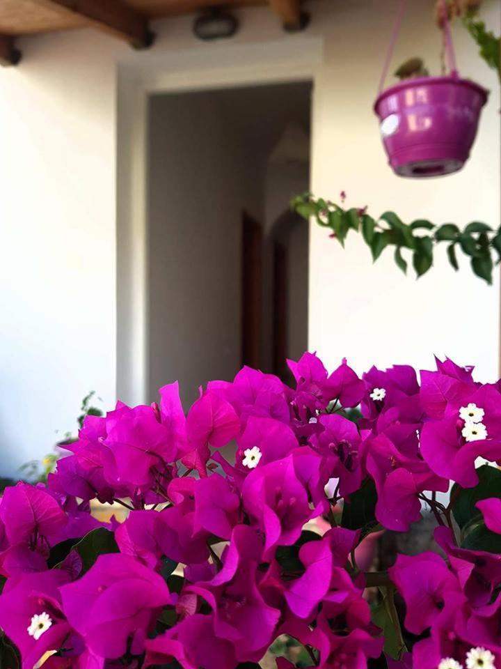 דרמי Penelope'S Rooms מראה חיצוני תמונה